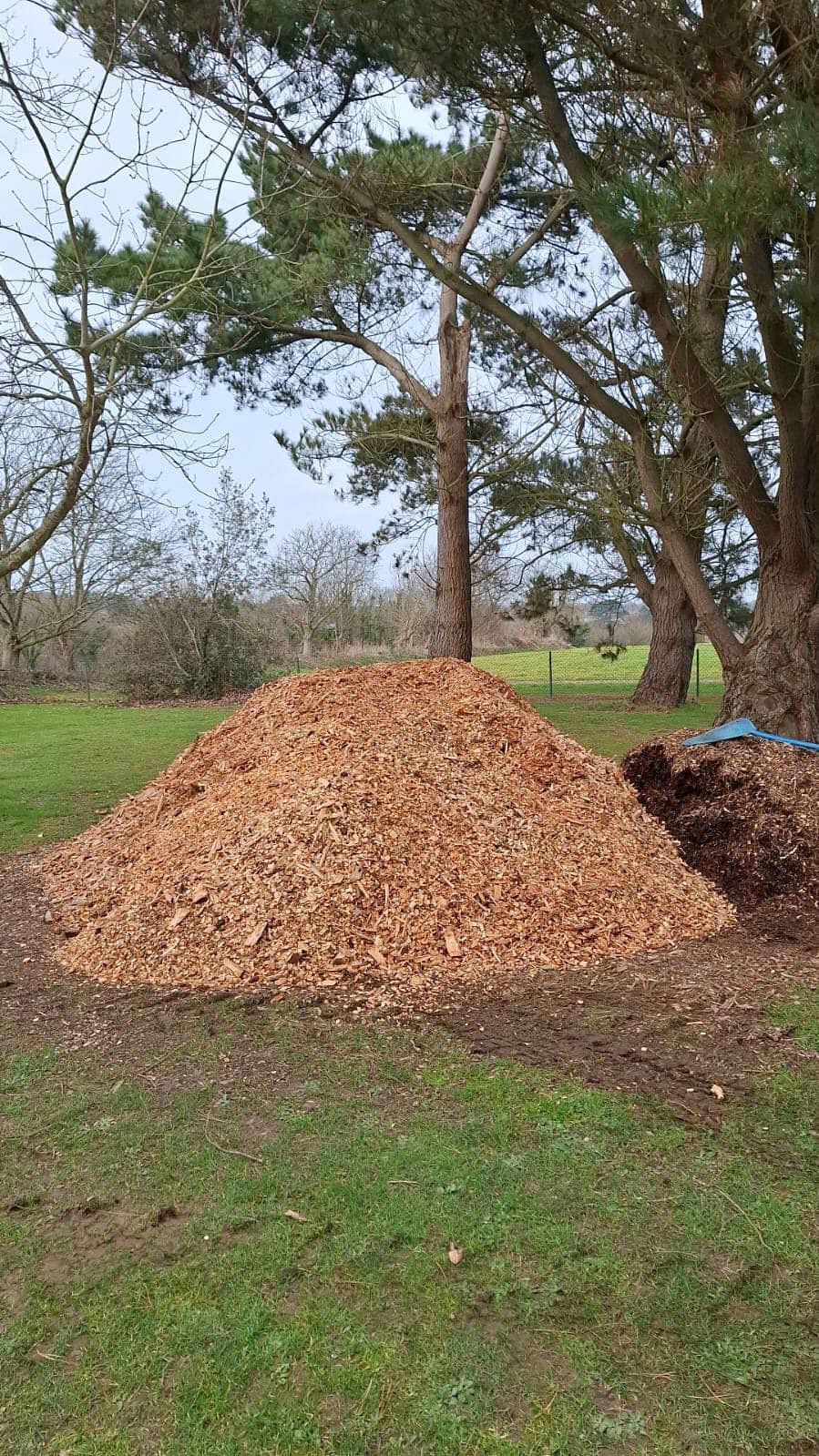 Woodchips